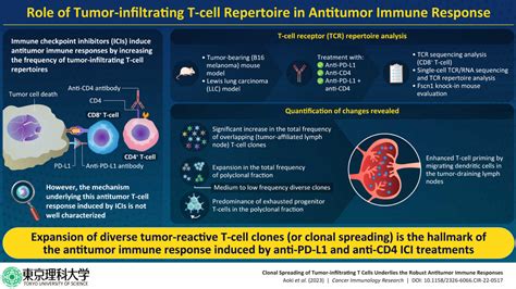 Immune Checkpoint Inhibitor Antitumor Response Decoding Molecular