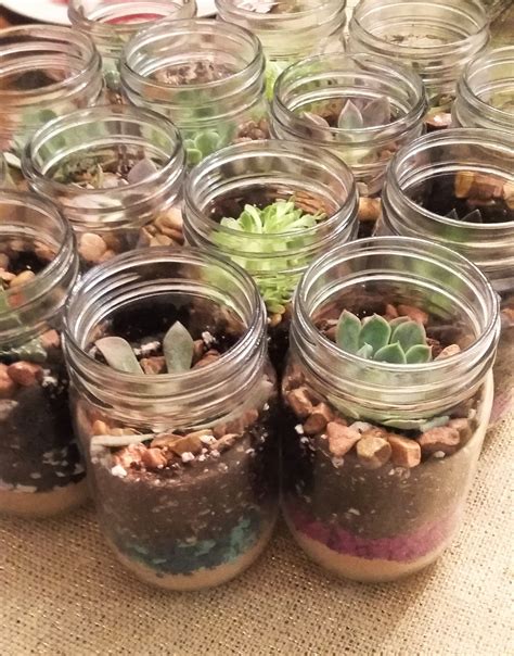 Diy Terrarium In Glass Jars Perfect For Succulents Or Air Plants