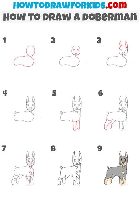 How To Draw A Doberman Easy Drawing Tutorial For Kids