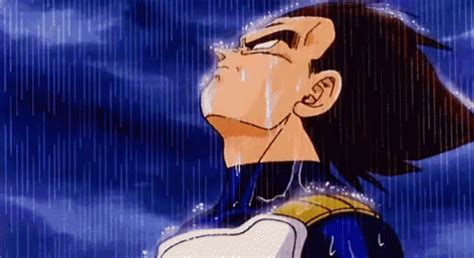 Vegeta Dragonballz Discover Share GIFs