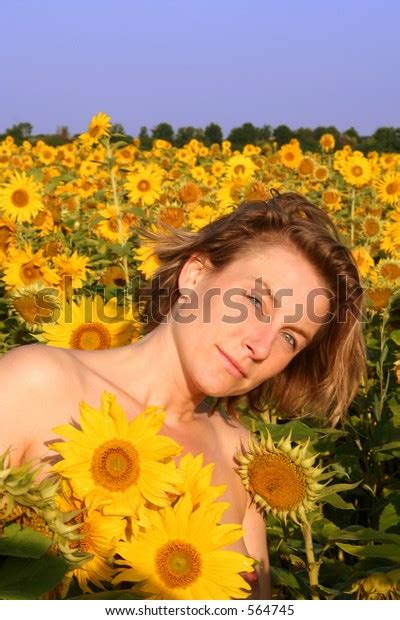 Naked Woman Sunflower Field Stock Photo Shutterstock