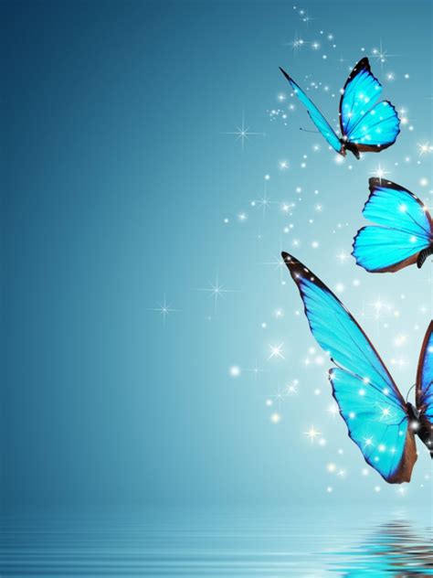 Free Download Blue Butterfly Water Reflection Wallpaper 1920x1080 For