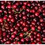 Red Cherry Background  High Quality Food Images Creative Market