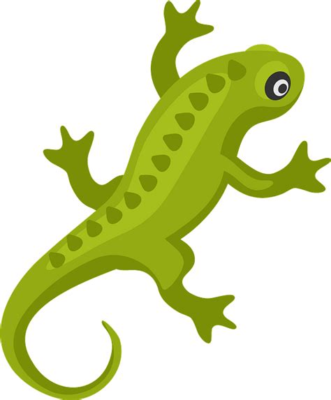Lizard Clipart Free Download Transparent Png Creazilla