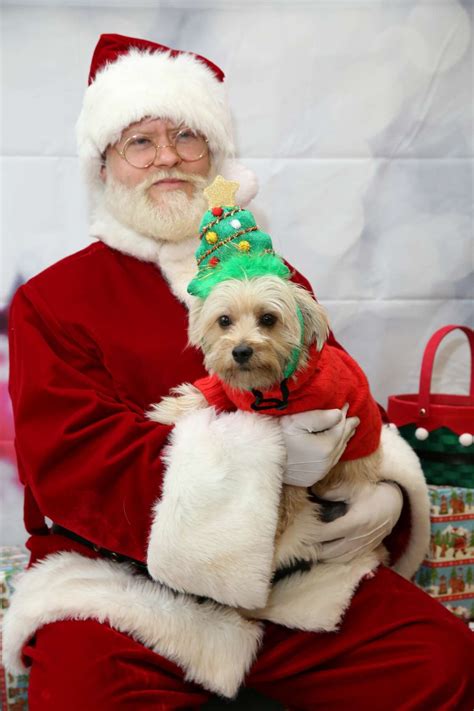 Pet Photos With Santa Near Me 2024 - Erinn Jacklyn