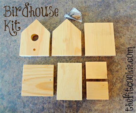Easy Diy Birdhouse Kit Project • The Fit Cookie