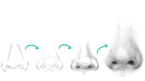 Nose Drawing Tutorial Step By Step Nose Three Quarter Bodaqwasuaq