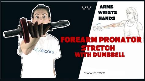 Forearm Pronator Stretch With Dumbbell Dumbbell Stretches No