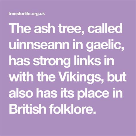 The Ash Tree Called Uinnseann In Gaelic Has Strong Links In With The