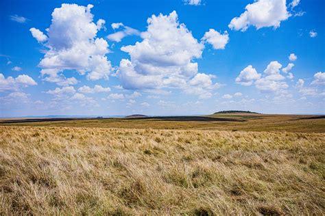 Grassland Meadow Hills Free Photo On Pixabay Pixabay