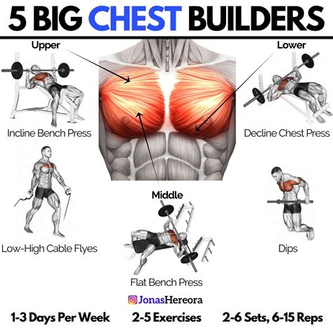 How To Build Bigger Pecs With These Pec Building Exercises Chest Workouts Weight Training