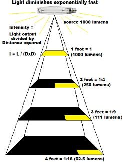 Manufacturers may provide two types of lumen measurements for a grow light. High Pressure Sodium Grow Lights Page