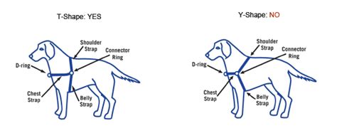 When the harness fits properly, you should be able to look at the side of your dog and the harness should resemble a sideways t. The Dog Geek: A Better Way to Adjust the Easy Walk Harness