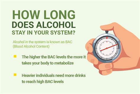 How Long Does Alcohol Stay In The System