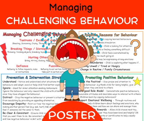 Managing Challenging Behaviour Poster Mindingkids