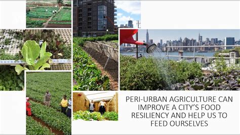 Using Peri Urban Agriculture To Build Resiliency In Cities Youtube