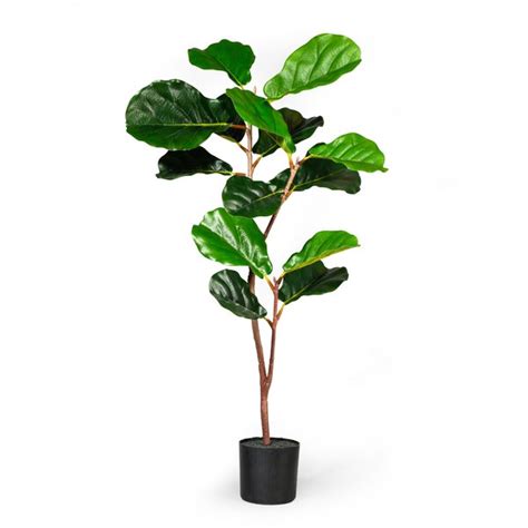 Thanks for joining the fiddle leaf fig plant resource facebook group! 36.5'' Artificial Fiddle Leaf Fig Tree in Pot | Birch Lane