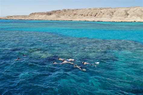 Egypt Red Sea Free Photo On Pixabay Pixabay