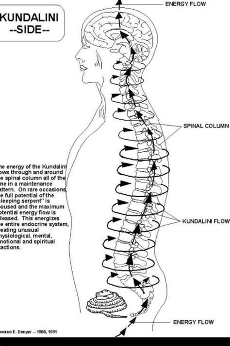 Kundalini yoga pulls the energy at the base of your spine up, all the way through the roof of your crown and outward so that energy can flow and create balance in your energy centers and chakras. Tree of life=spine | Kundalini yoga, Chakra meditation ...