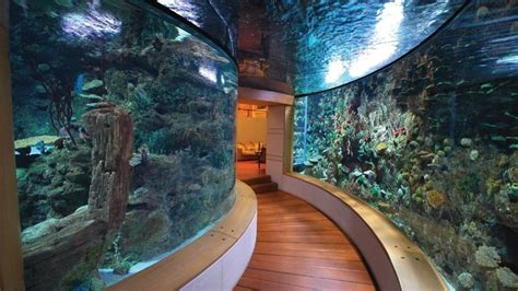 10 Homes With Their Own Shark Tanks Posh Luxury Estates And Lifestyle