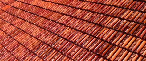 Soak the area of the roof that you are going to clean. How To Clean Terracotta Roof Tiles In Sydney - DIY How To