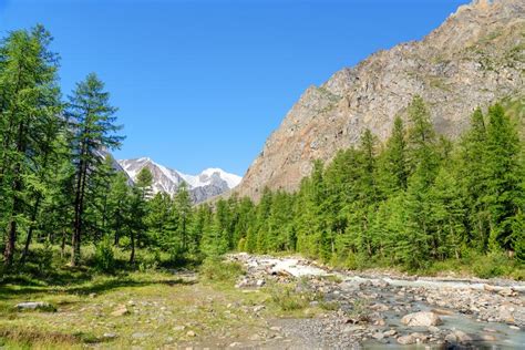 View Of Aktru River Valley Altai Republic Russia Stock Photo Image