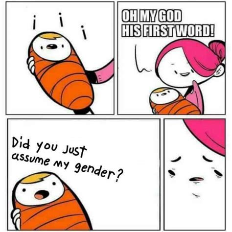 Did You Just Assume My Gender Meme By Thankmrskeltal Memedroid
