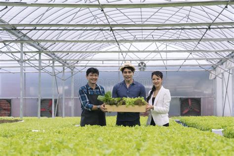 Group Asian Business Farmer Man And Woman In Greenhouse Hydroponic
