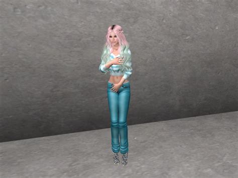 Second Life Marketplace Covering Privates 3