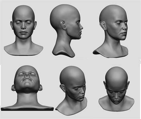 Realistic Female Bust Need Candc — Polycount