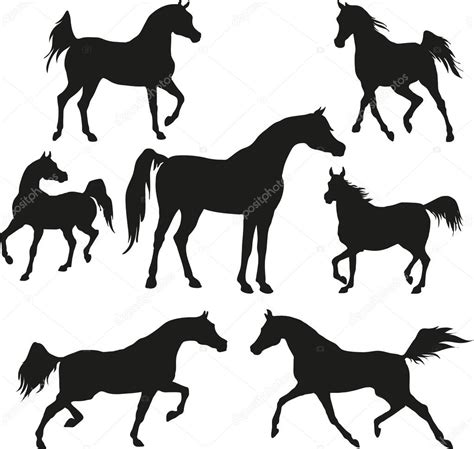 Arabian Horses Stock Vector Image By ©ponyrider 24633711