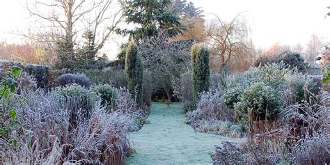 6 Things You Must Do To Take Care Of Your Garden Plants In Winter