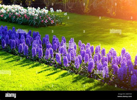 Beautiful Spring Scene Hi Res Stock Photography And Images Alamy