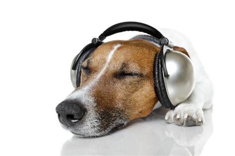 Dog Listening To Music With Headphones And Sleeping Sponsored