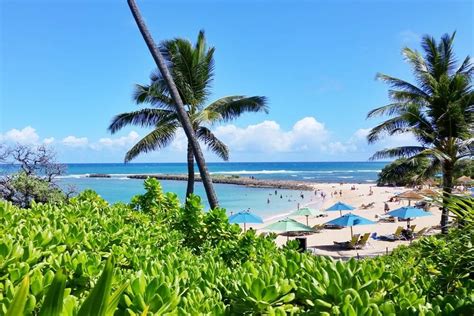 Best Snorkeling In Oahu 9 Top Spots Explore