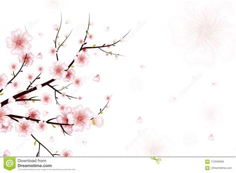 Spring Background Realistic Design Isolated On White Background