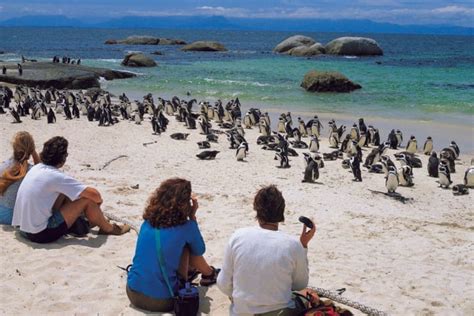 Full Day Cape Point And Peninsula Tour My Cape Town Stay