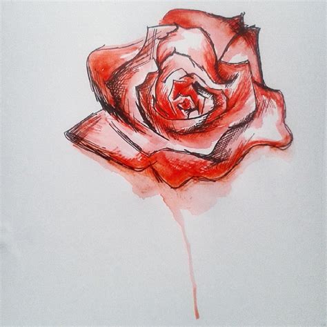 Bleeding Rose Drawing At Explore Collection Of