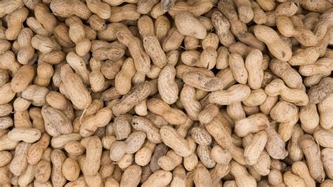 National Peanut Day 2017: 5 Fast Facts You Need to Know | Heavy.com
