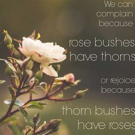 It is looking at the thorn and seeing rose, looking at the night and seeing the day. Rose Thorn Quotes. QuotesGram