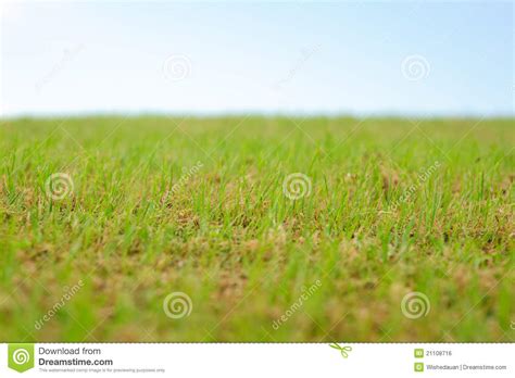 Green Grass Smooth Sky Background Stock Photo Image Of Blur Trails