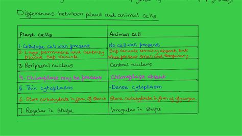 We did not find results for: Comparison between plant and animal cells - YouTube