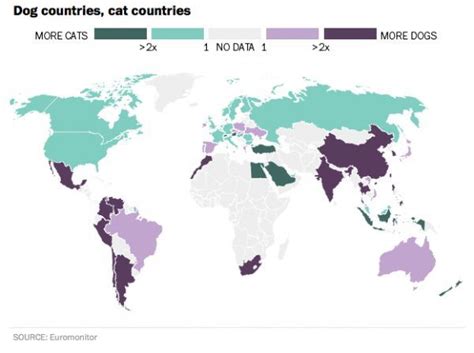 Cat Countries and Dog Countries | See