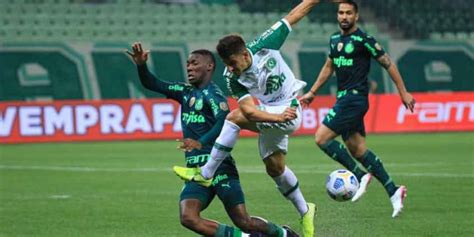 Palmeiras X Chapecoense Onde Assistir Ao Duelo Pelo Brasileirão