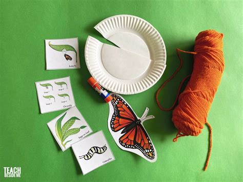 Monarch Butterfly Life Cycle Mobile Teach Beside Me