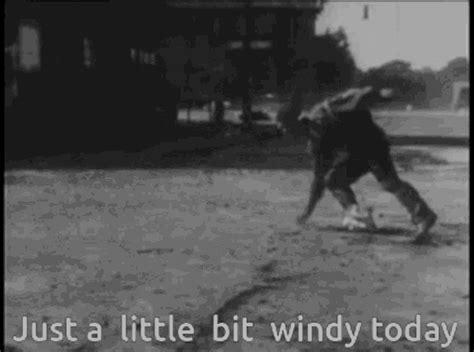 Windy Meme 