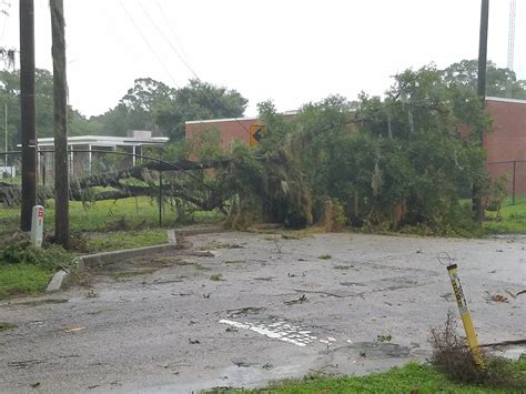 Photo Gallery Hurricane Hermine Damage Plant City Observer