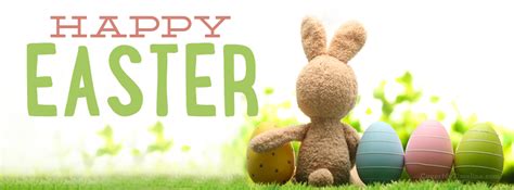 Easter - Happy Easter Bunny with Eggs - Free Facebook Covers, Facebook