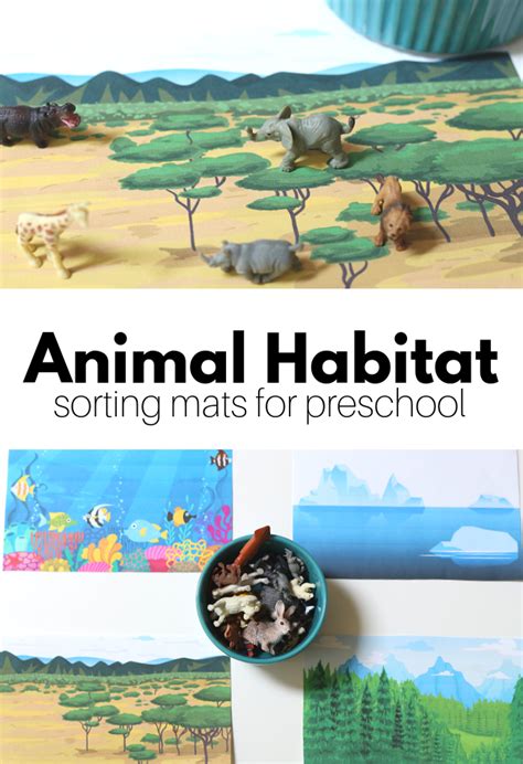 Animal Habitats Preschool Science Activity No Time For Flash Cards