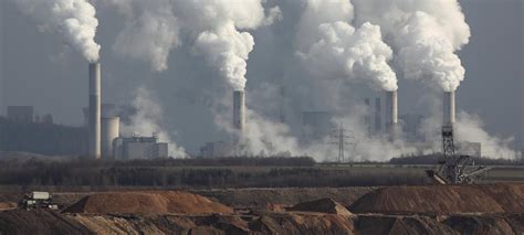 7 Ways Coal Is Impacting Wildlife Arcadia Power